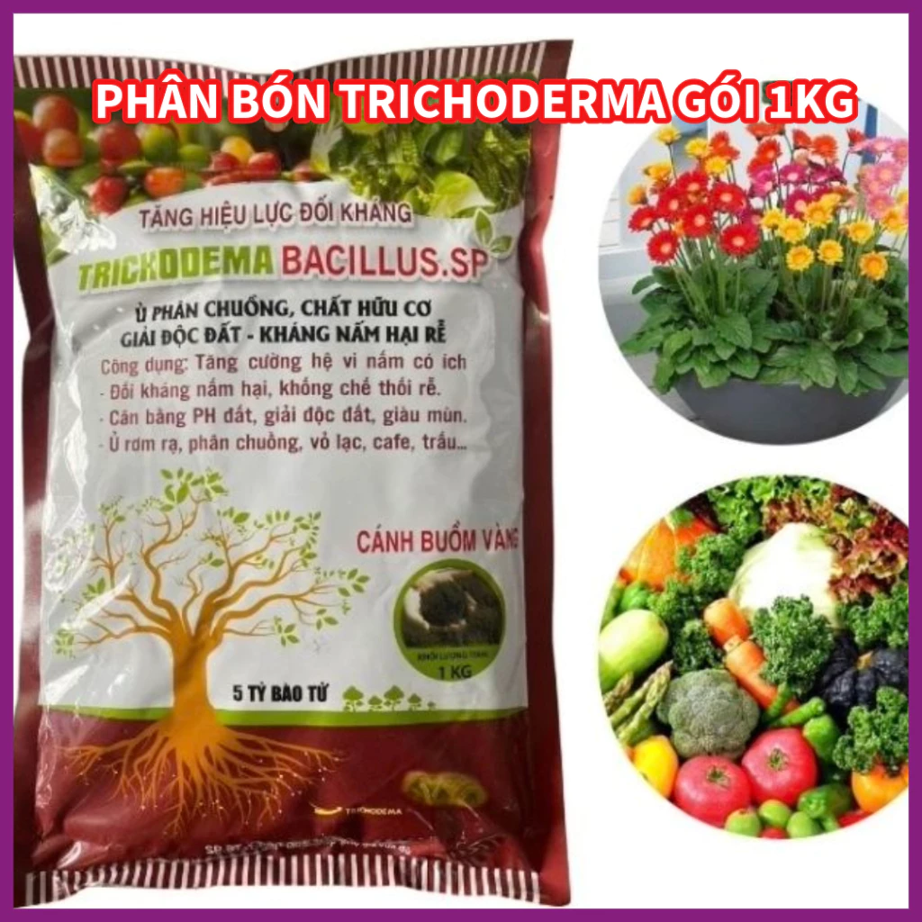 Làm thế nào để tối ưu hiệu quả diệt nấm với Trichoderma và tránh những sai lầm thường gặp?