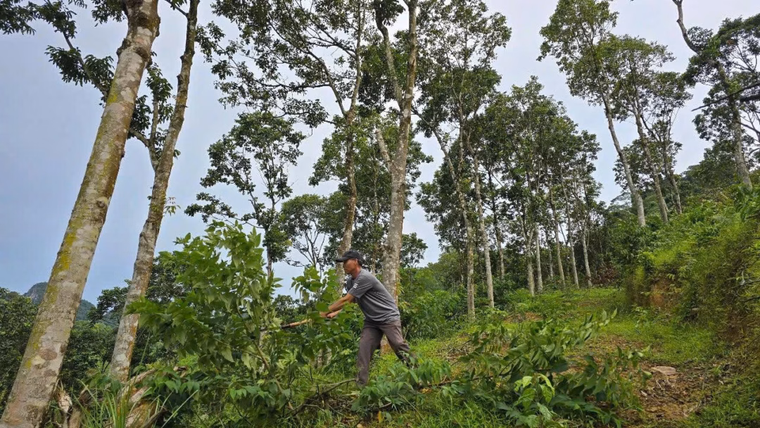 Vườn quốc gia Phong Nha – Kẻ Bàng giúp dân tộc thiểu số thoát nghèo bền vững