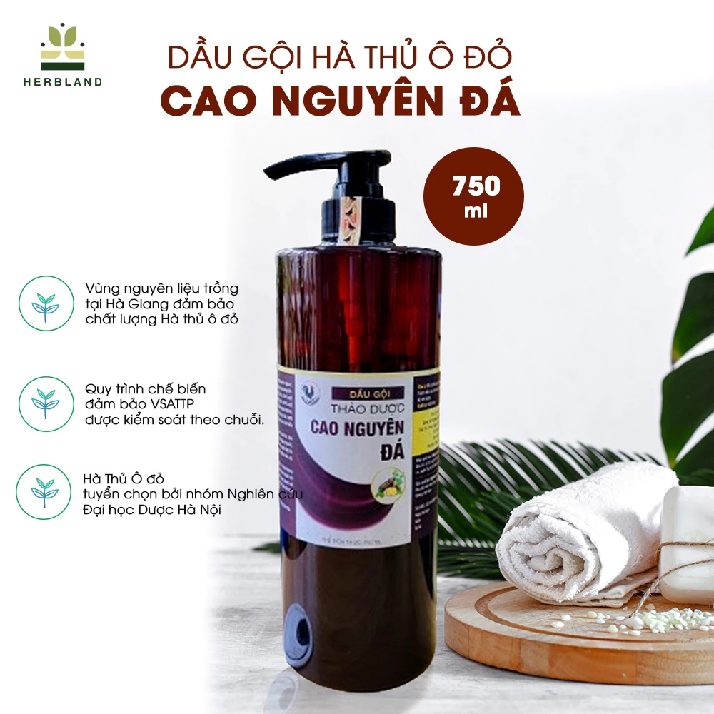Làm sao để tối ưu hóa hiệu quả của dầu gội thảo dược Hà Thủ Ô Cao Nguyên Đá cho mái tóc khô và hư tổn?