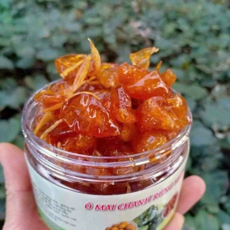 Vì sao ô mai chanh rừng Mẫu Sơn lại là lựa chọn hàng đầu cho mùa hè?