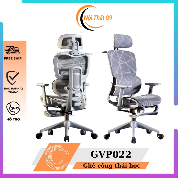 Ghế Văn Phòng Công Thái Học – Lầm Lỡ Đắt Giá Của Dân Văn Phòng Và Cách Chọn Ghế Phù Hợp