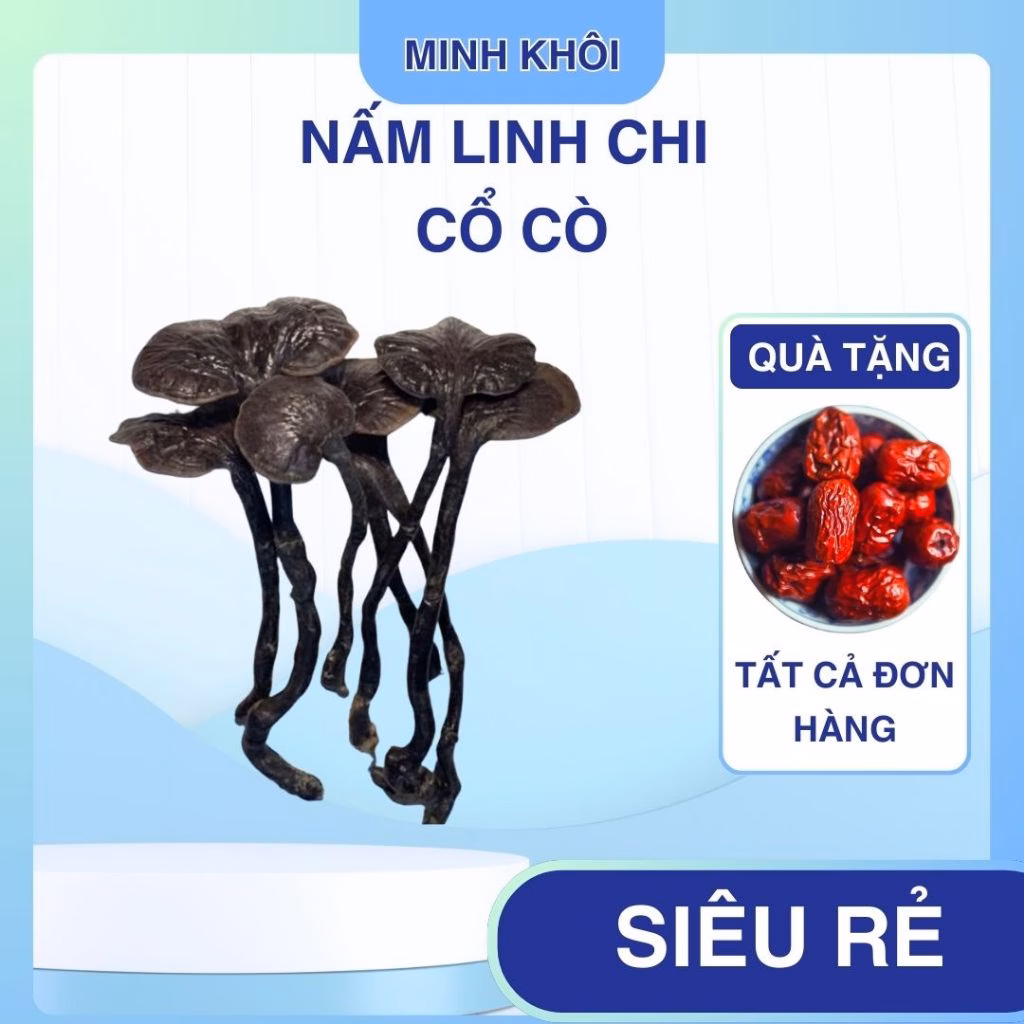 Mua Nấm Linh Chi Cổ Cò Rừng Sapa Ở Đâu Chất Lượng? Những Sai Lầm Cần Tránh Khi Sử Dụng