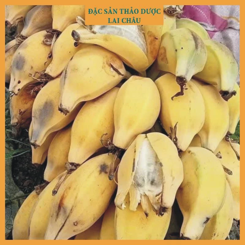 Tôi đã uống chuối rừng ngâm rượu để hỗ trợ giảm gout, đây là những điều tôi wish biết trước khi bắt đầu