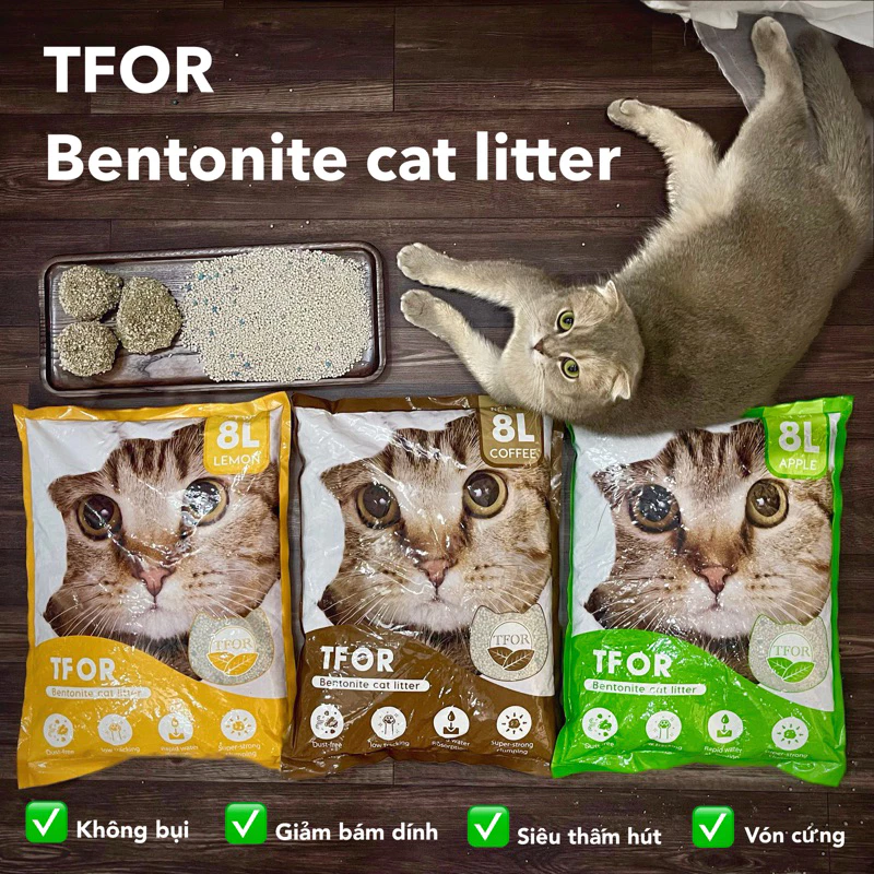 Làm thế nào để chọn cát vệ sinh mèo phù hợp cho không gian nhỏ và hạn chế mùi hiệu quả?