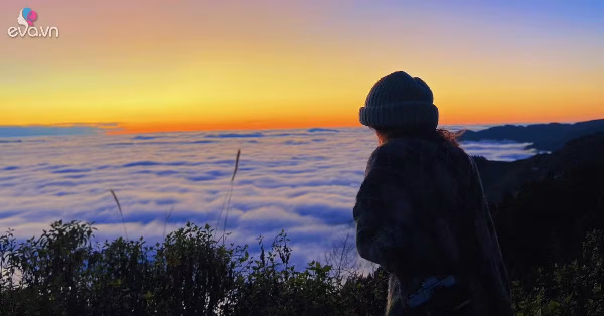 Tà Xùa Sơn La: Điểm săn mây bí ẩn trong danh sách 26 địa điểm NDTV 2026