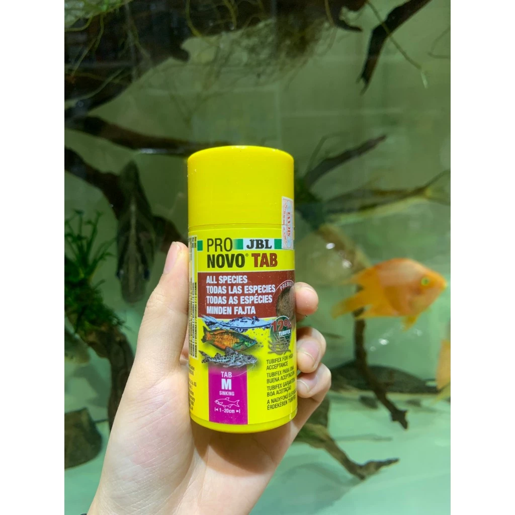 Thức ăn dán JBL Pro Novo Tab có thực sự giúp cá cảnh lên màu đẹp như lời đồn?
