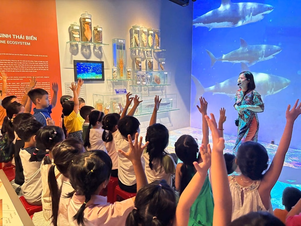 Bảo tàng Đà Nẵng ‘tỏa sáng’ trong thời đại số