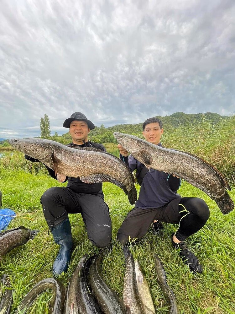 Chuyển đổi mục tiêu và điều chỉnh giá: Cuộc chơi mới trong thị trường chứng khoán