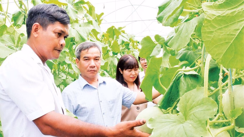 Đầu tư cho vùng sâu, vùng xa: Đòn bẩy phát triển toàn xã hội