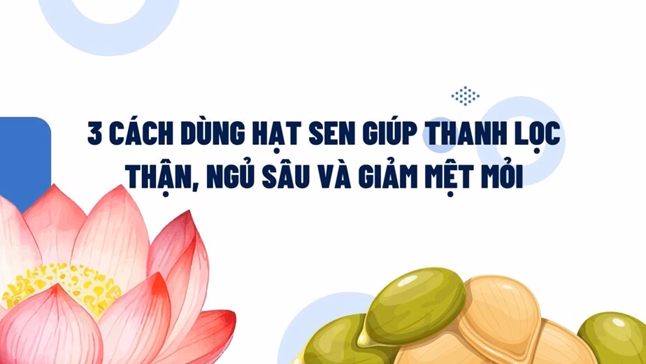 3 cách dùng hạt sen giúp thải độc thận, dễ ngủ và giảm mệt mỏi
