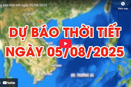 Dự báo thời tiết ngày 05/08/2025: Nắng nóng ở nhiều khu vực trên cả nước