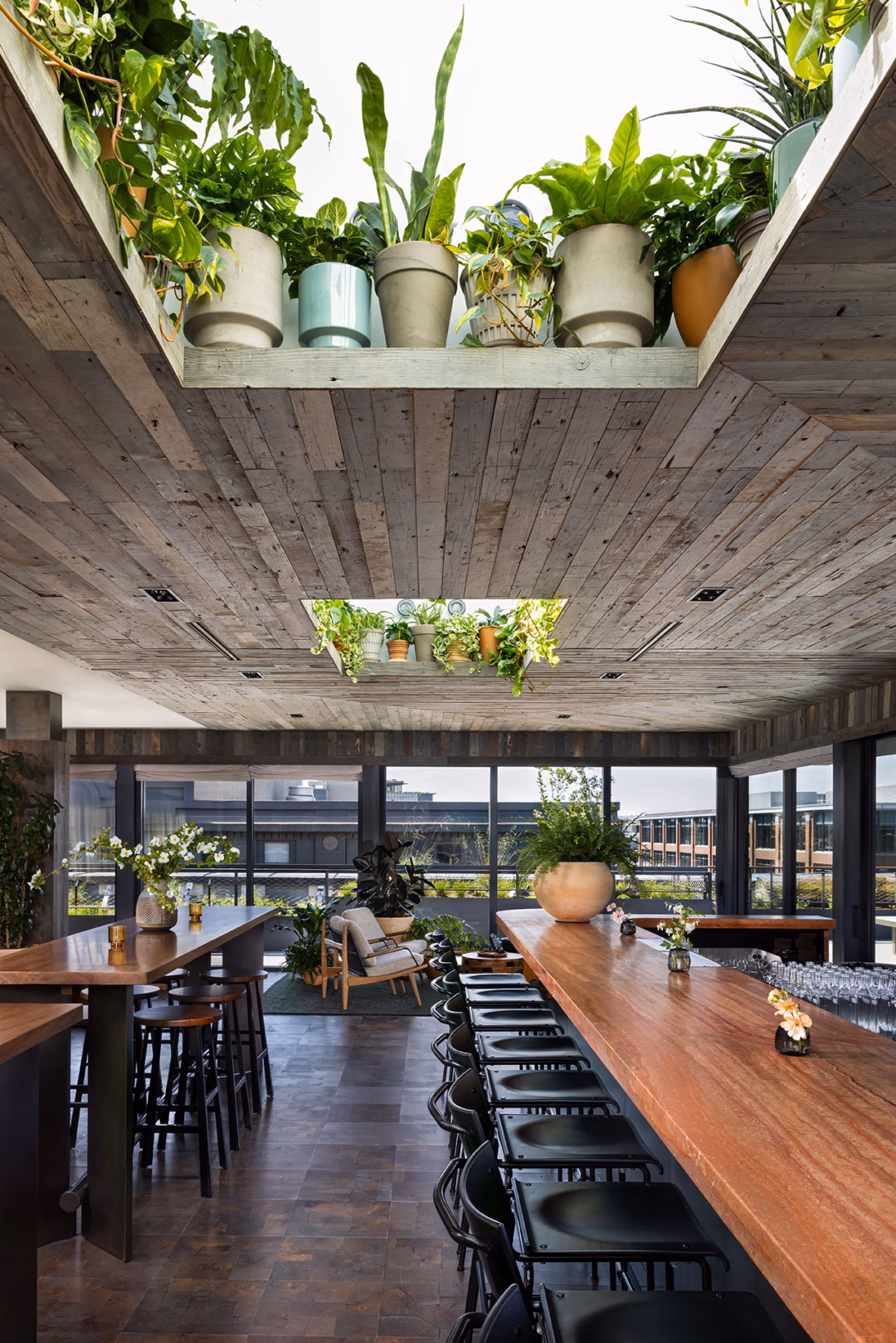 Khách sạn 120 phòng ở Seattle với thiết kế tiền sảnh độc đáo như rừng sống Modern dining space with a long wooden table, black chairs, large windows, and a ceiling cutout filled with various potted plants letting in natural light.