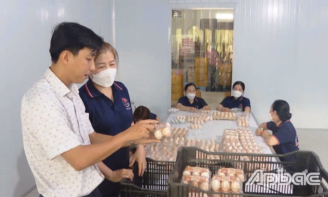 Chất lượng trứng luôn được công ty đặt lên hàng đầu.