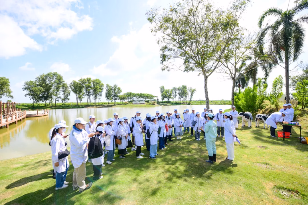 Trang trại bò sữa Vinamilk Green Farm: Mở khóa tự nhiên tạo ra giá trị bền vững