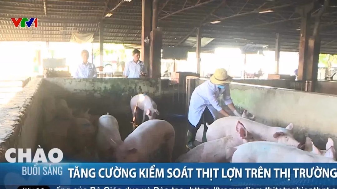 Huế tăng cường kiểm soát dịch bệnh trong hoạt động chăn nuôi và tiêu thụ thịt lợn