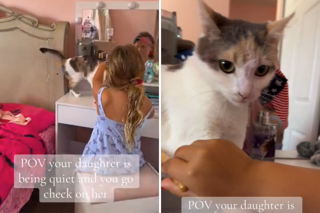 Mẹ bất ngờ gặp khoảnh khắc ấm áp giữa con gái và chú mèo