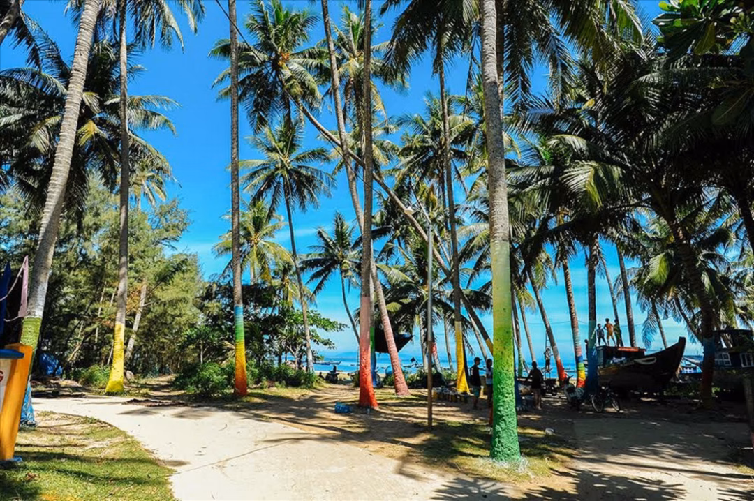 Quảng Nam: Tam Hải – Xã đảo hứa hẹn với du lịch xanh và sinh thái Những con đường nhỏ sạch sẽ, mái nhà nép mình dưới hàng dừa tạo nên vẻ duyên dáng của xã đảo.