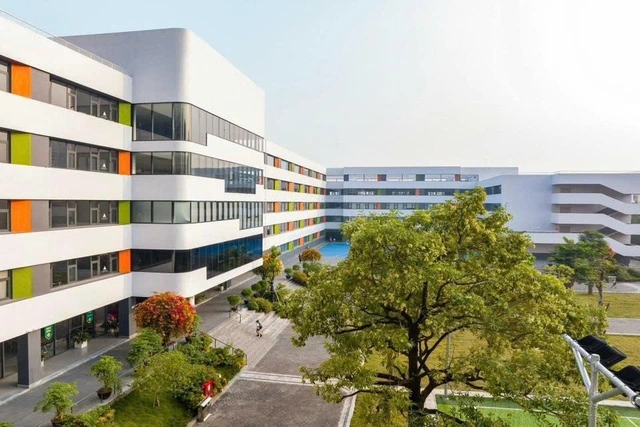 Tranh chấp điều hành hệ thống trường Ngôi Sao Hà Nội, chủ tịch hệ thống gửi đơn tố cáo lên công an - Ảnh 2.