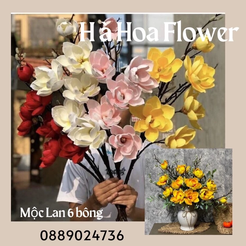 Mộc Lan Giả – Bí Quyết Trang Trí Nhà Cửa Mà Bạn Không Thể Bỏ Qua