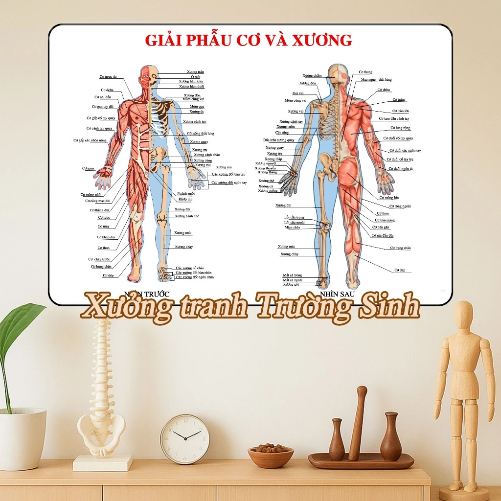 Làm thế nào để chọn tranh dán y tế phù hợp cho nhu cầu của bạn?