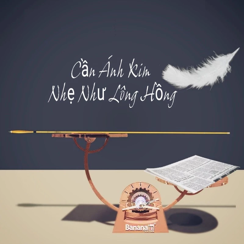 Làm thế nào để chọn cần câu tay phù hợp cho người mới bắt đầu câu cá?