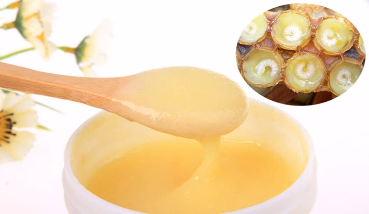 Lợi ích của sữa ong chúa