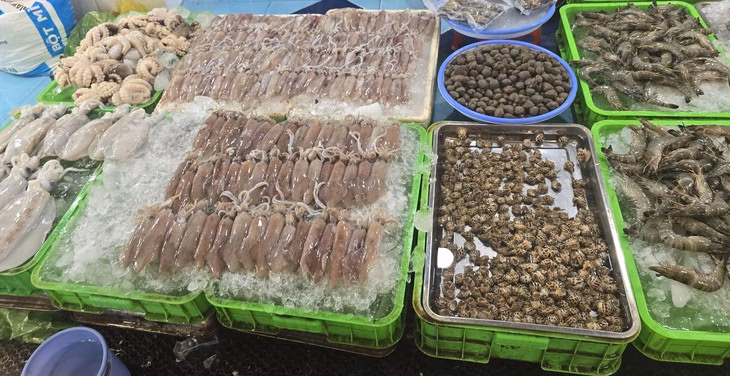 Các loại hải sản bày đẹp mắt trong chợ Xóm Lưới - Ảnh: HOÀNG LÊ