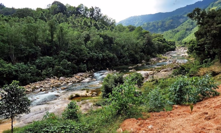 Đại lễ hội Du lịch tại 3 thành phố lớn Việt Nam Hòn Bà Nha Trang cao bao nhiêu mét?