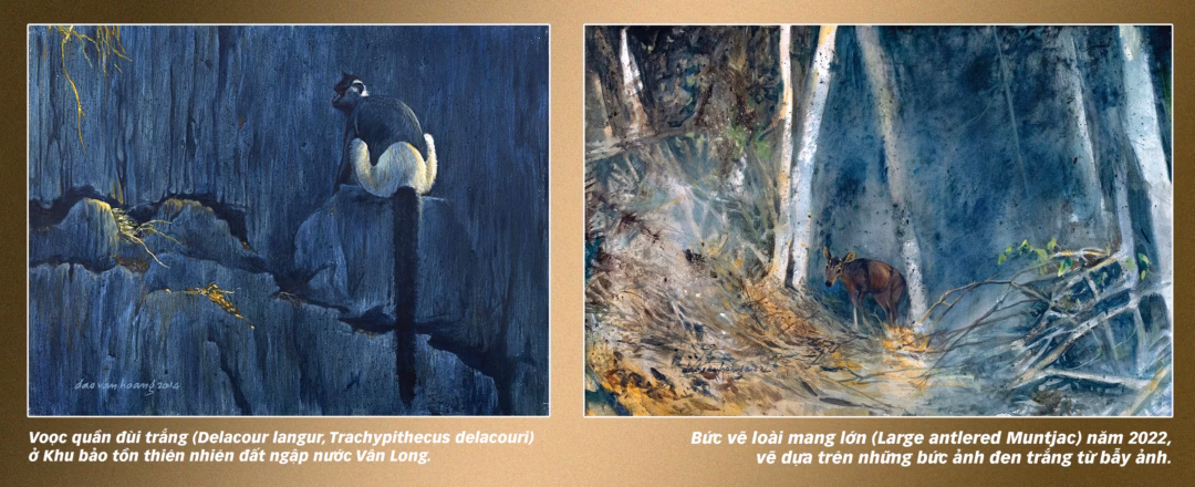 Họa sĩ Việt Nam dùng nghệ thuật bảo vệ loài hoang dã Đào Văn Hoàng: Vào trong hoang dã, vẽ để kể về sự sống và mất mát - Ảnh 9.