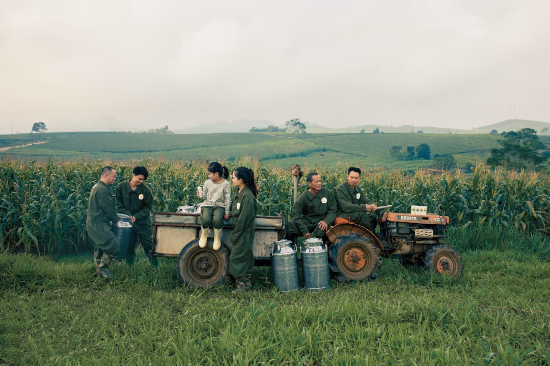 Hội thi Hoa hậu B&ograve; sữa 2026 tại Mộc Ch&acirc;u - H&igrave;nh 3