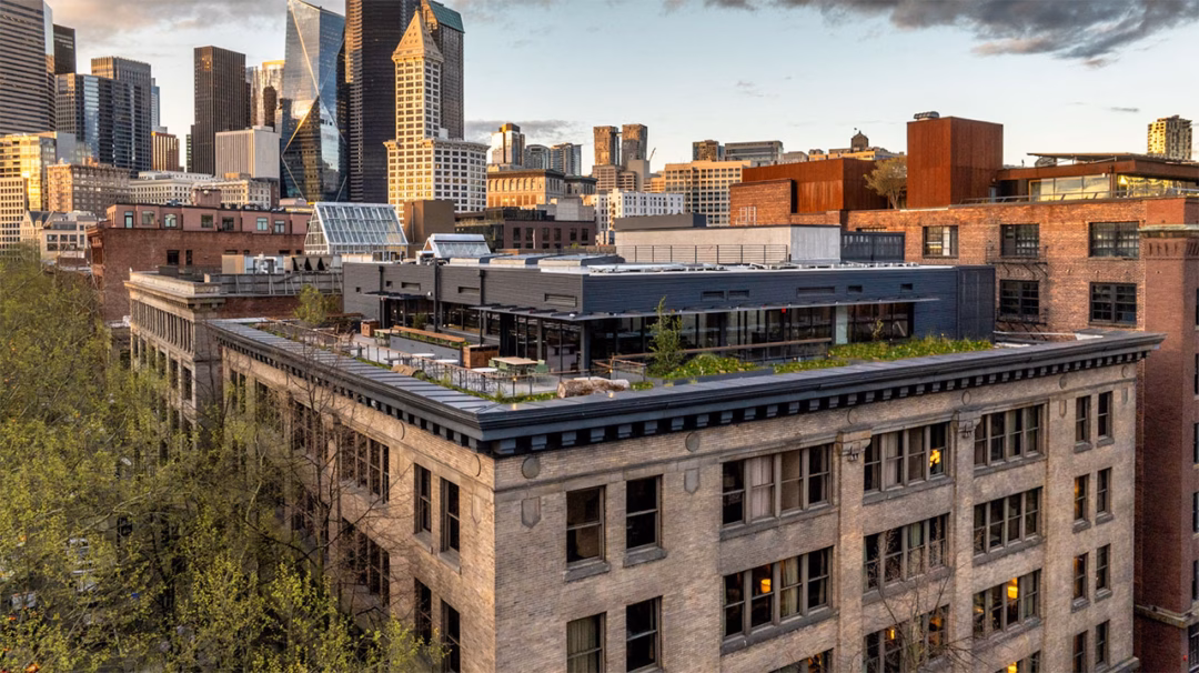 A rooftop garden on a historic brick building with modern skyscrapers in the background, under a partly cloudy sky.