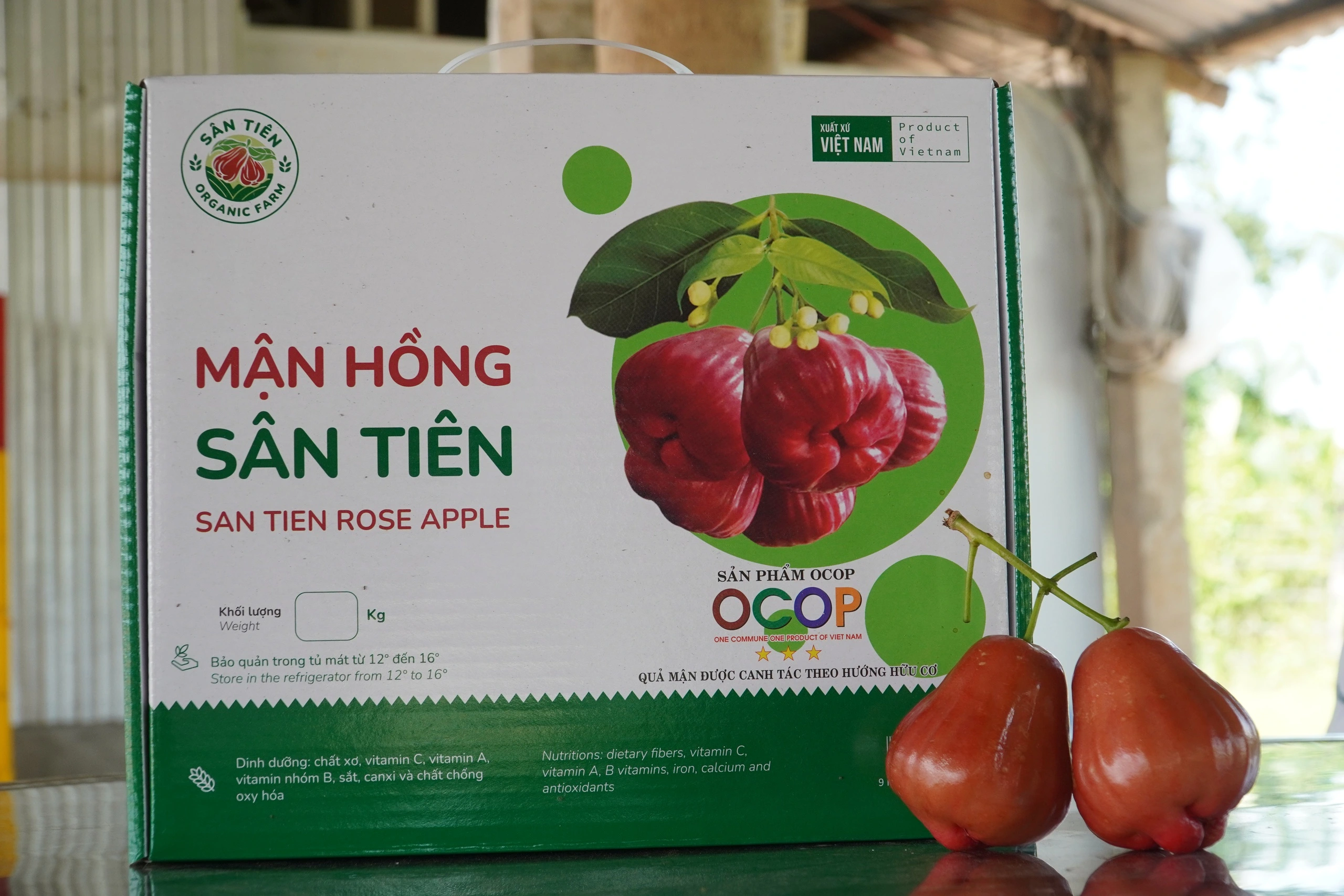 Mận hồng Sân Tiên đóng hộp bán ra thị trường cao cấp