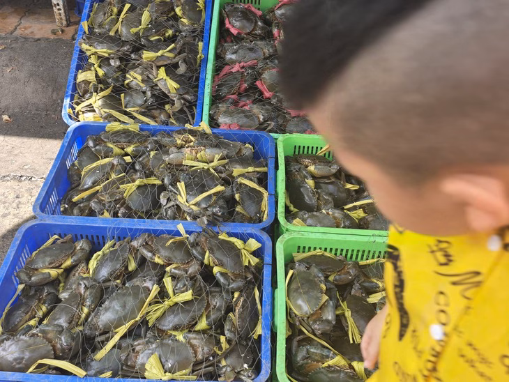 Chợ hải sản Vũng Tàu ngập rác và nước thải Cua bày bán ở chợ Xóm Lưới - Ảnh: HOÀNG LÊ