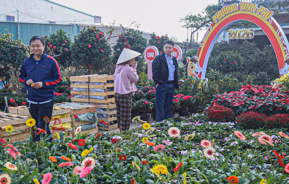L&agrave;ng hoa Kim Ph&uacute;c, Kim Chi tại Nghệ An rực rỡ sắc xu&acirc;n trước Tết