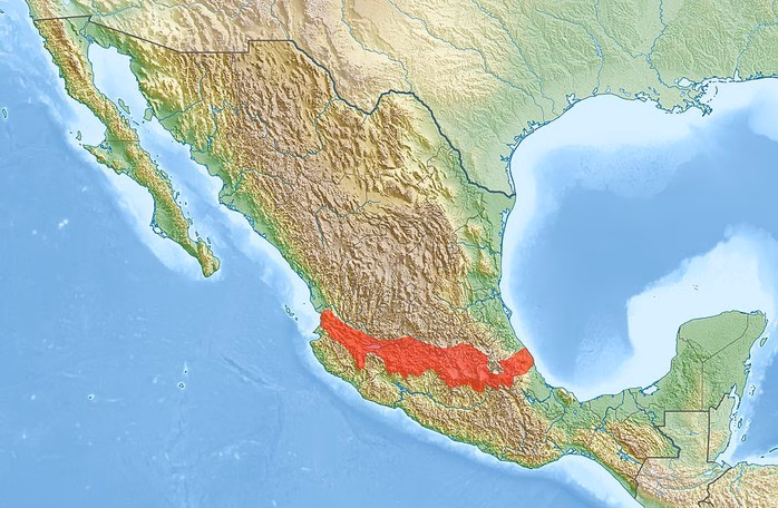 Vành đai núi lửa xuyên Mexico Vành đai núi lửa xuyên Mexico