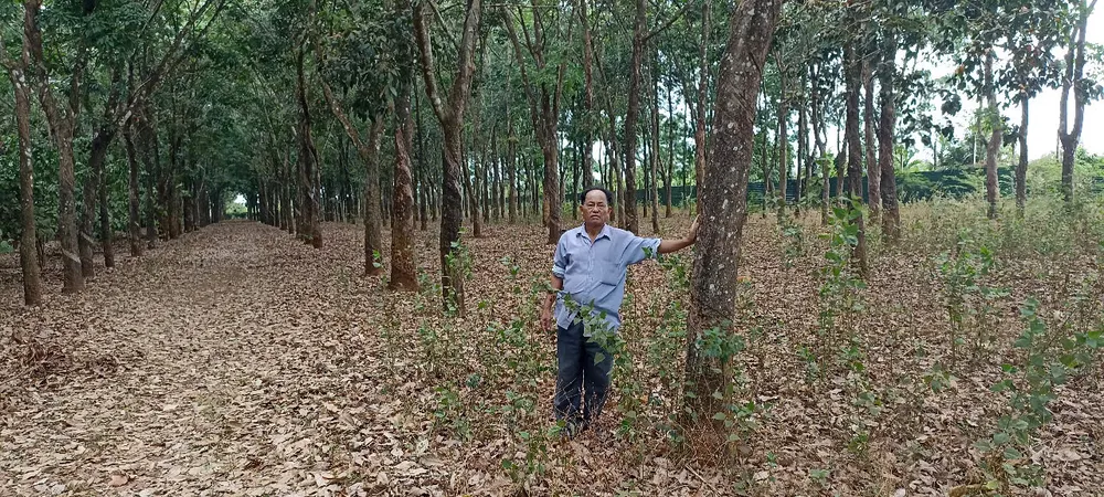 Ông Đinh Văn Hoành đề nghị kháng nghị giám đốc thẩm huỷ cả hai bản án sơ thẩm và phúc thẩm Ông Đinh Văn Hoành đề nghị kháng nghị giám đốc thẩm huỷ cả hai bản án sơ thẩm và phúc thẩm
