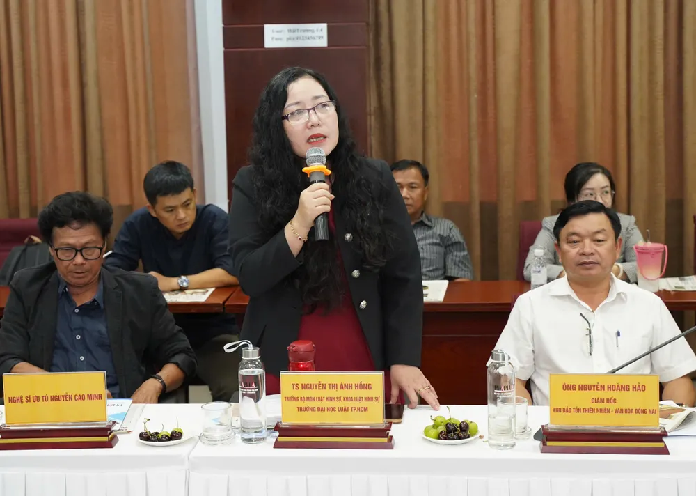 TS Nguyễn Thị Ánh Hồng TS Nguyễn Thị Ánh Hồng, Trưởng bộ môn Hình sự, Khoa luật hình sự, Đại học Luật TP.HCM.