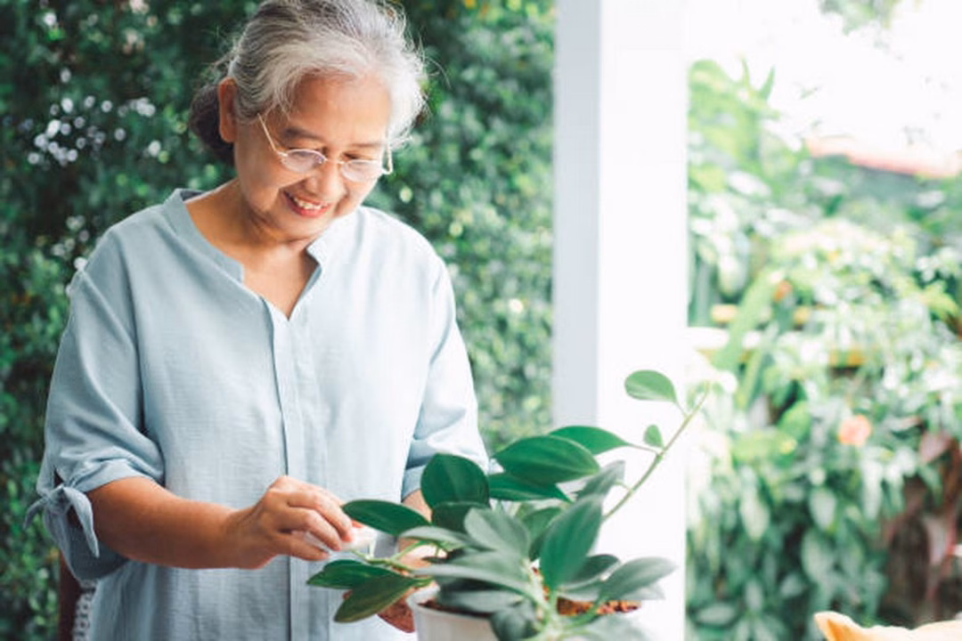Người lão hóa khỏe mạnh thường duy trì được những sở thích cá nhân của mình.