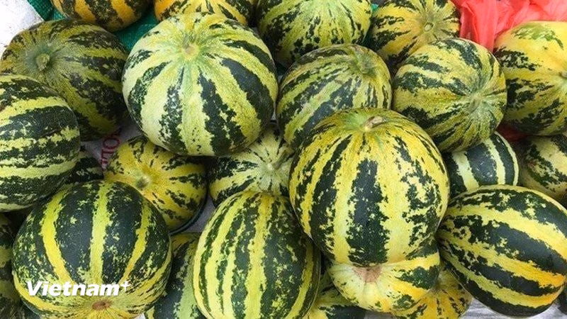 Dưa bở Dưa bở