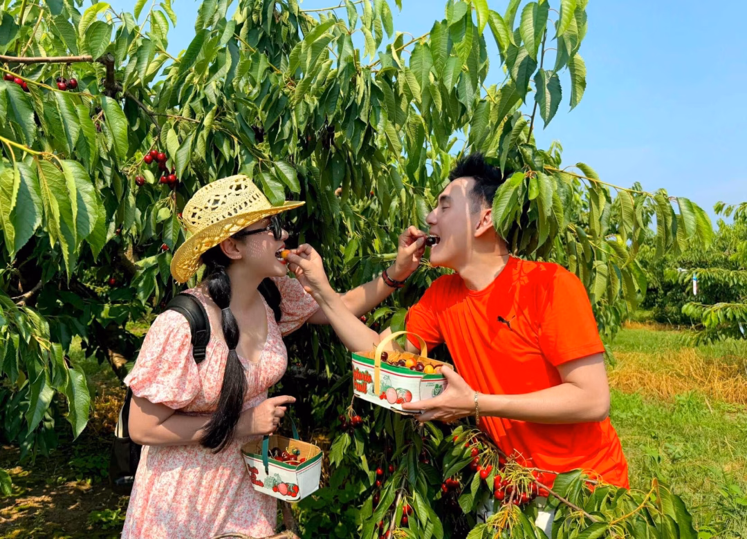 Việt Trinh tái xuất với blog du lịch, gặp Đoan Trường tại Canada