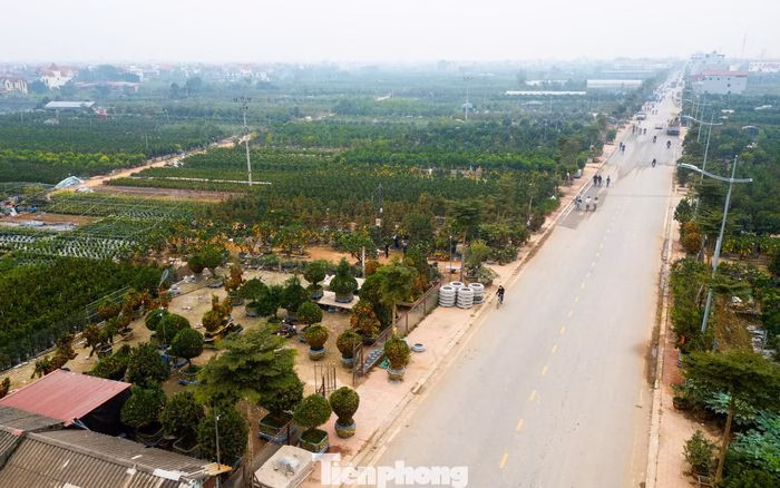 Qu&yacute;t cảnh tại Văn Giang, Hưng Y&ecirc;n &ndash; kh&ocirc;ng kh&iacute; xu&acirc;n s&ocirc;i động