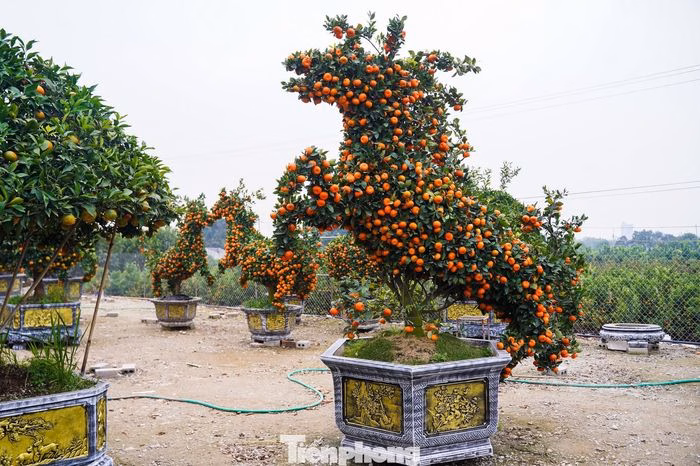 Qu&yacute;t h&igrave;nh ngựa cao 3 m, gi&aacute; 30 triệu đồng mỗi cặp