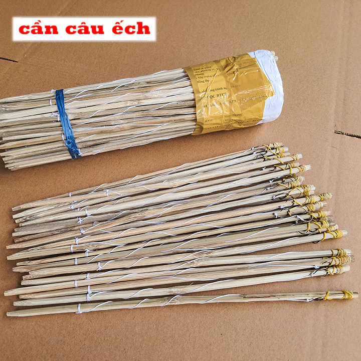 Làm thế nào để chọn cần câu cắm ếch phù hợp và tránh lãng phí tiền bạc?