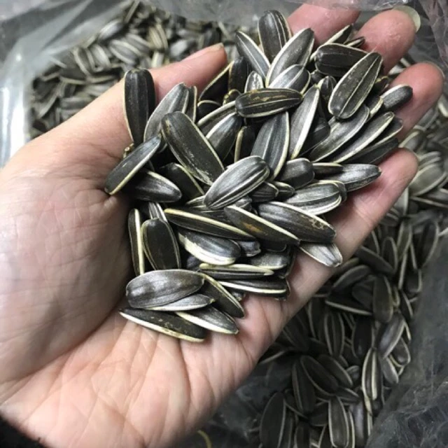 Mua hạt hướng dương sấy chín về mà vẫn còn mềm, có phải tôi đã mua phải hàng không tươi?