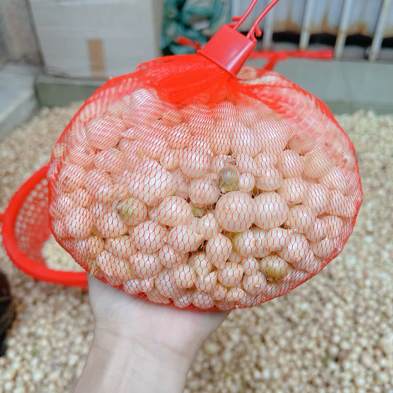 Lầm Xử Phải Củ Hành Tăm Nghệ An Giúp Tôi Tìm Lại hương Vị Quê Nhà