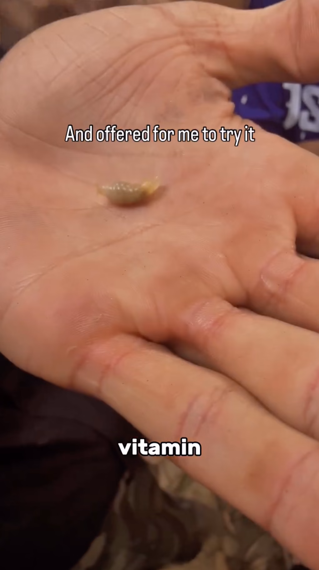 Dù có hơi e dè nhưng khách Tây vẫn ăn thử nhộng ong