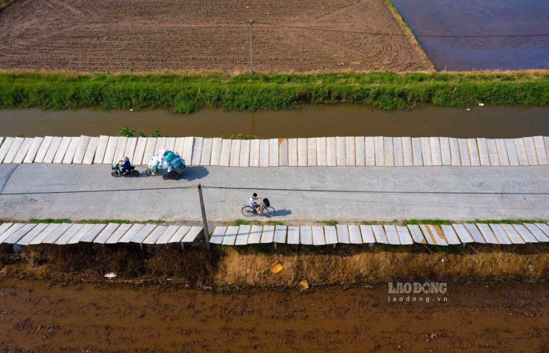 Những phên tre xếp đầy bánh đa phơi nắng ở làng Dụ Đại, xã Quỳnh An, tỉnh Hưng Yên. Ảnh: Trọng Cung
