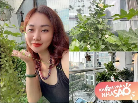 Cô gái cao 1m55 từ bỏ ĐH Thương mại để làm người mẫu: 22 tuổi mua nhà, có chỉ số vượt toàn cầu Vợ Đại úy của NSND Tự Long khoe khu vườn trên cao ngày mưa bão vẫn "tươi xanh, thơm ngát như chủ nhà"