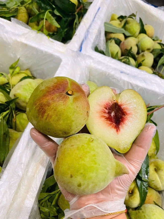 Cách phân biệt đào quạ Việt Nam và Trung Quốc Đào Trung Quốc cầm nhẹ hơn, bề mặt mịn nên có cảm giác hơi trơn.