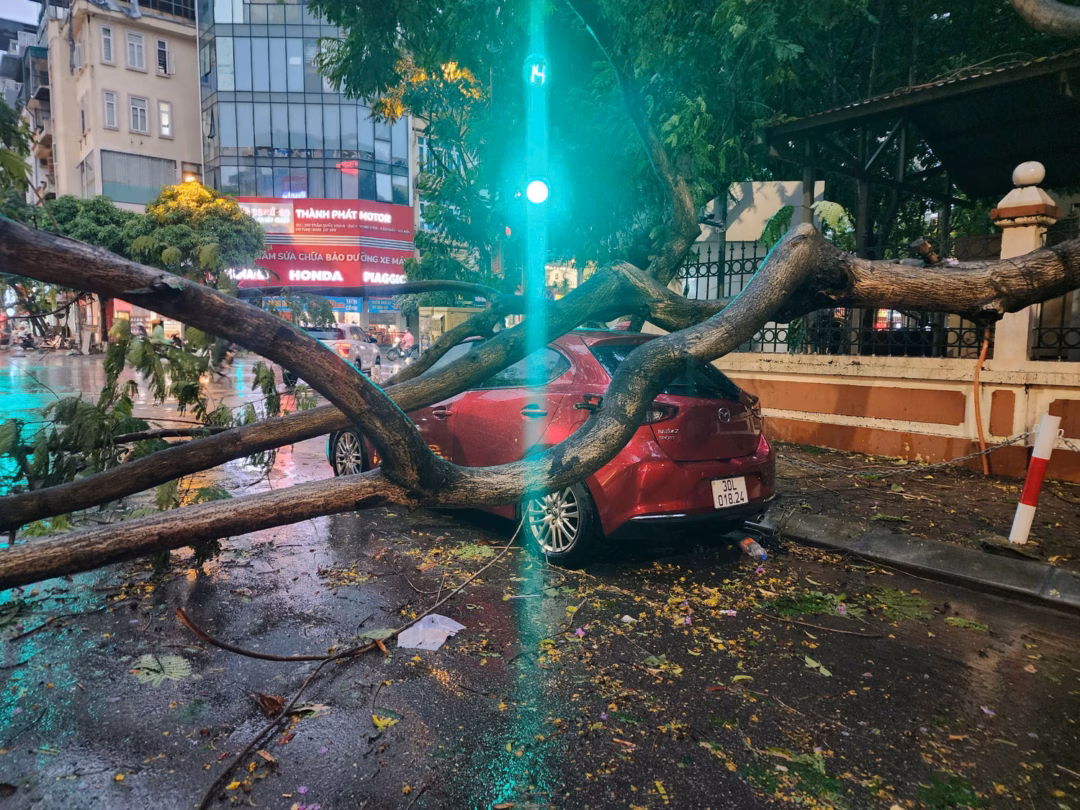 Hà Nội hứng mưa dông, nhiều cây xanh bị đổ đè lên ô tô